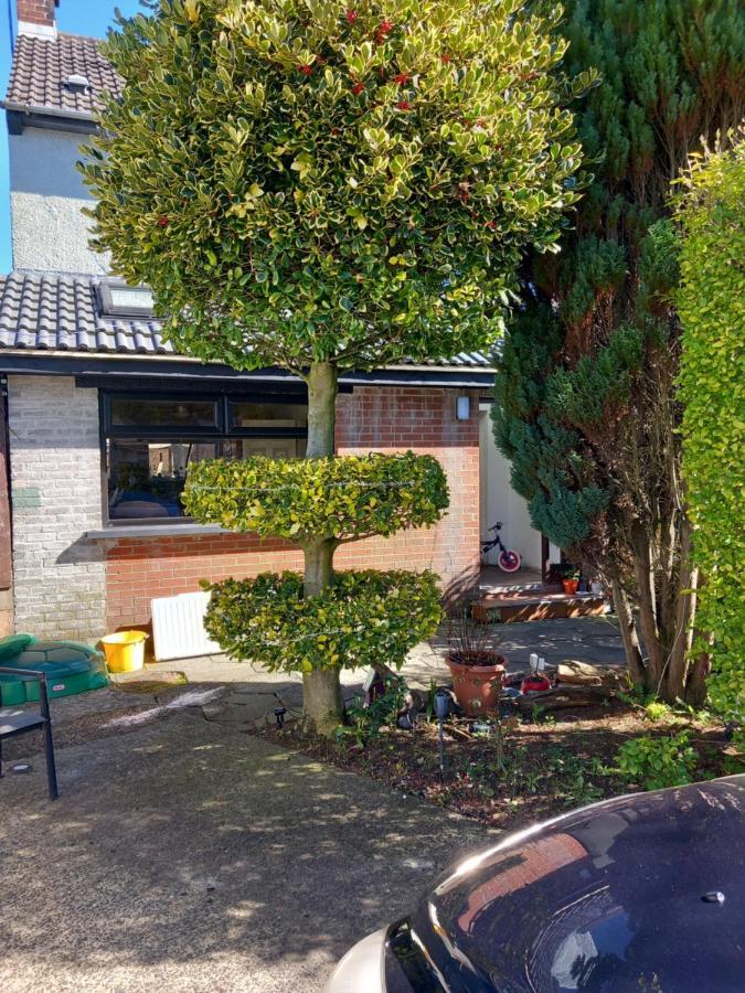 3 Bedroom Family Home Limavady Exteriér fotografie